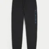 Pantalon de jogging décontracté en molleton graphique alpin Pantalon de jogging décontracté en molleton graphique alpin