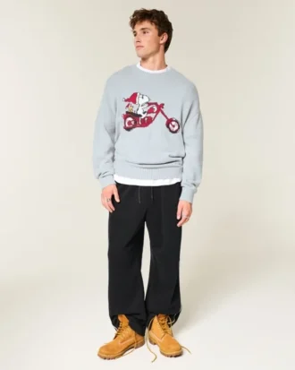 Pull à col rond et motif Snoopy Pull à col rond et motif Snoopy