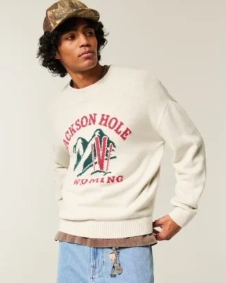 Pull graphique Boxy Jackson Hole