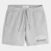 Short en molleton graphique Florida State University Seminoles Short en molleton graphique Florida State University Seminoles