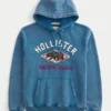 Sweat à capuche avec logo Holiday Vault Release