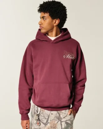 Sweat à capuche graphique Boxy Florida State University Seminoles