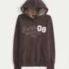 Sweat à capuche graphique doublé de fausse fourrure Sweat à capuche graphique doublé de fausse fourrure