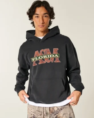 Sweat à capuche graphique Florida A&M University Rattlers