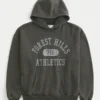 Sweat à capuche graphique Forest Hills Athletics