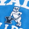 Sweat à capuche graphique Yale Bulldogs Sweat à capuche graphique Yale Bulldogs