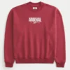 Sweat-shirt à capuche Arsenal FC Graphic Sweat-shirt à capuche Arsenal FC Graphic