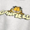 Sweat-shirt à capuche Garfield Graphic Sweat-shirt à capuche Garfield Graphic