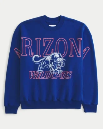 Sweat-shirt à capuche graphique Boxy University of Arizona Wildcats