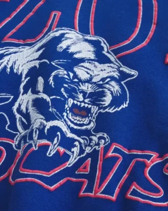 Sweat-shirt à capuche graphique Boxy University of Arizona Wildcats