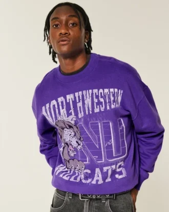 Sweat-shirt graphique Boxy Northwestern University Wildcats